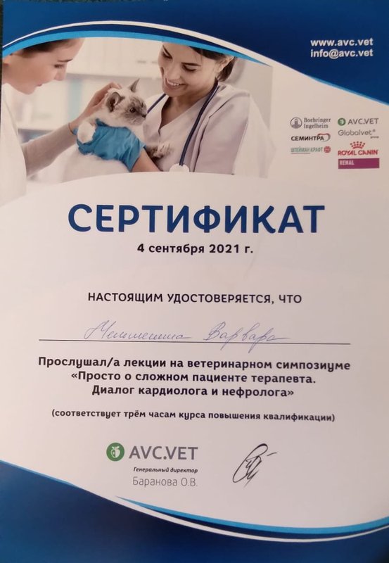 Документ или сертификат