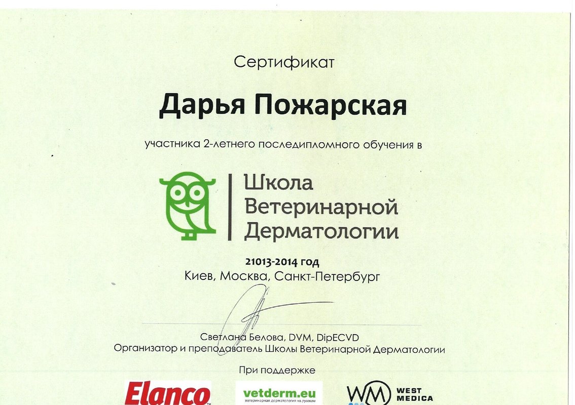 Документ или сертификат