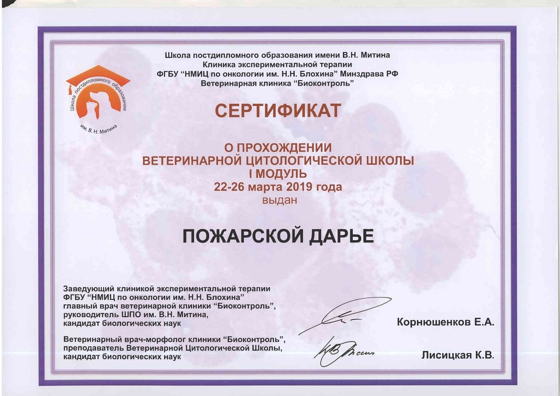 Документ или сертификат