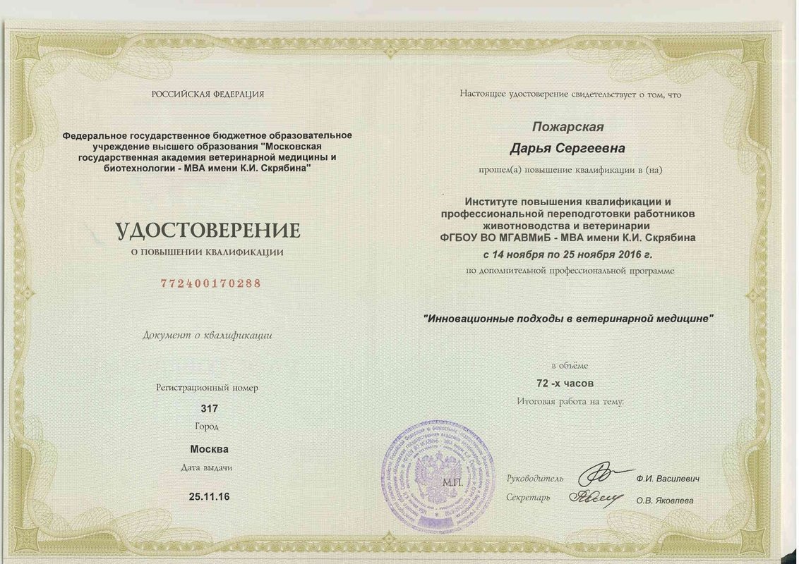 Документ или сертификат