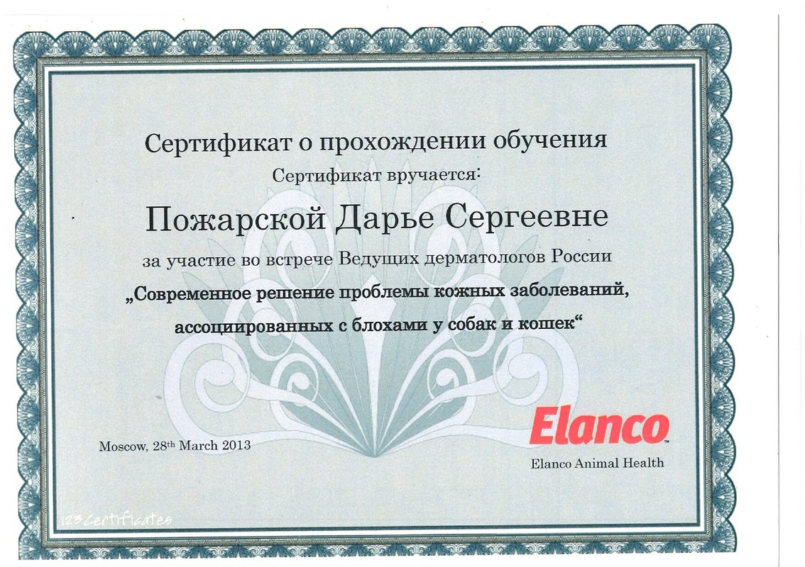 Документ или сертификат