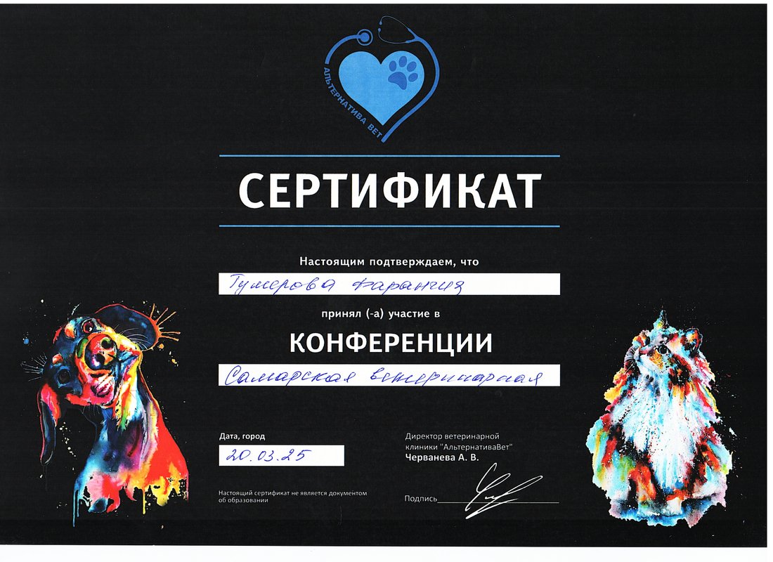 Документ или сертификат