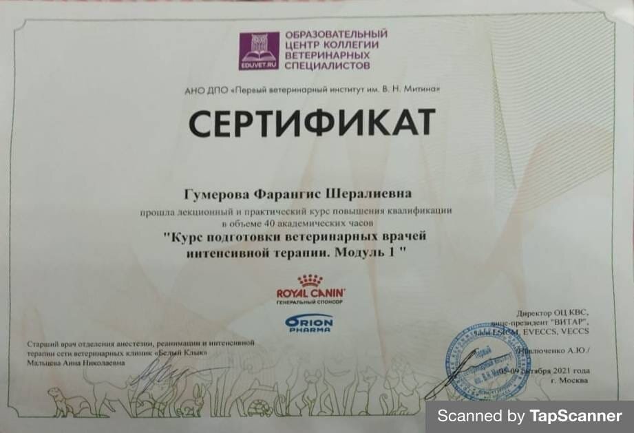 Документ или сертификат