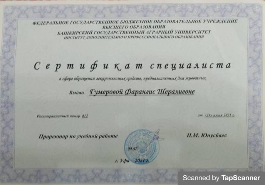 Документ или сертификат