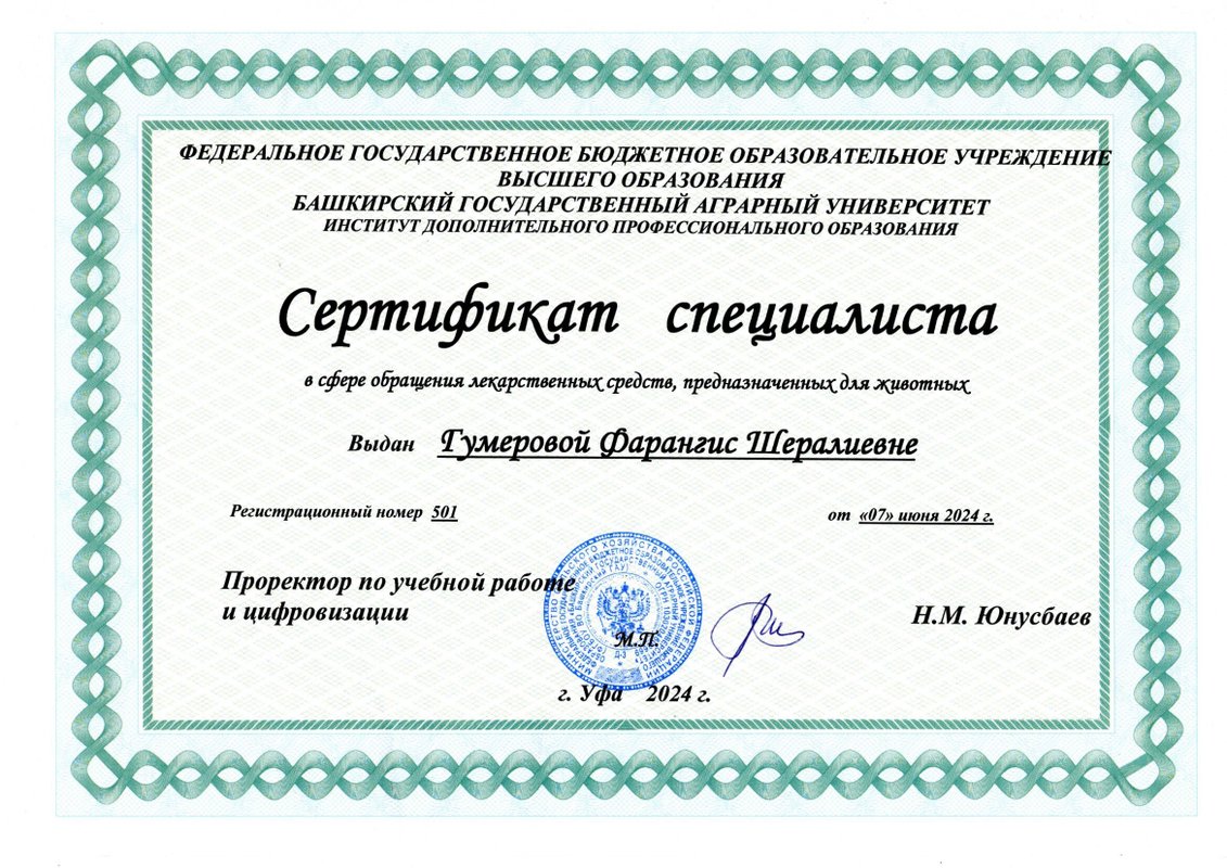 Документ или сертификат