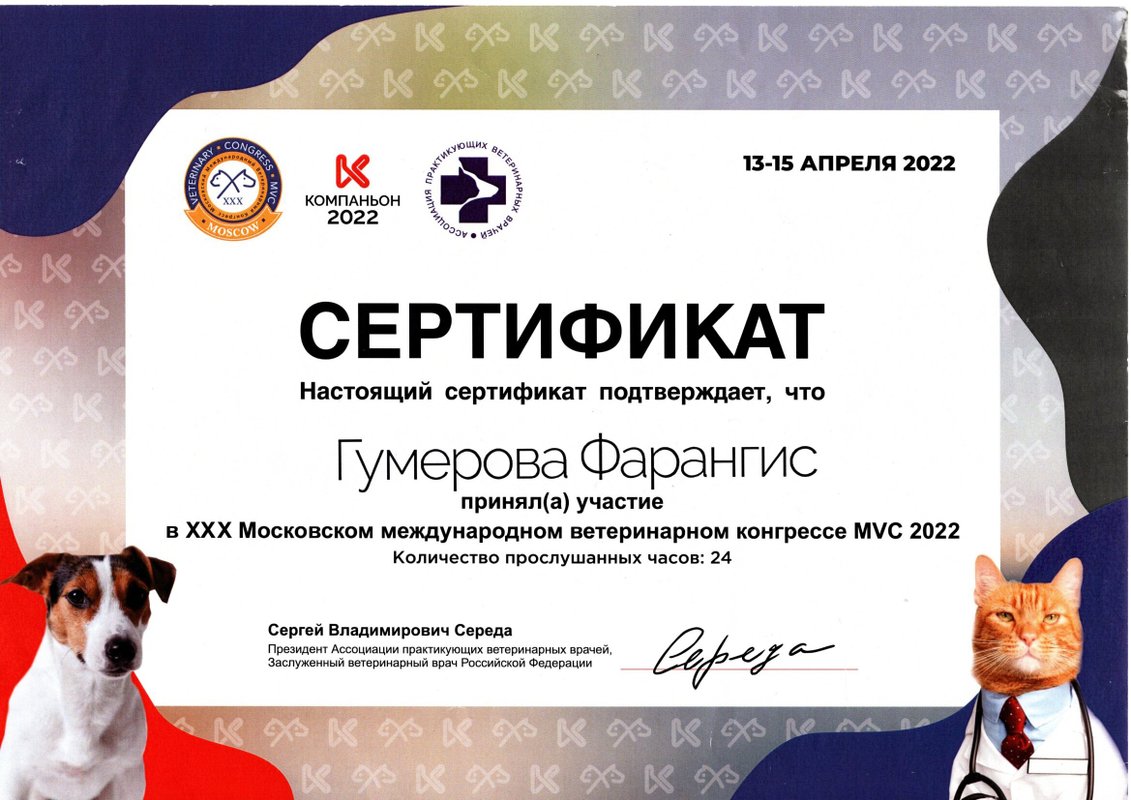 Документ или сертификат