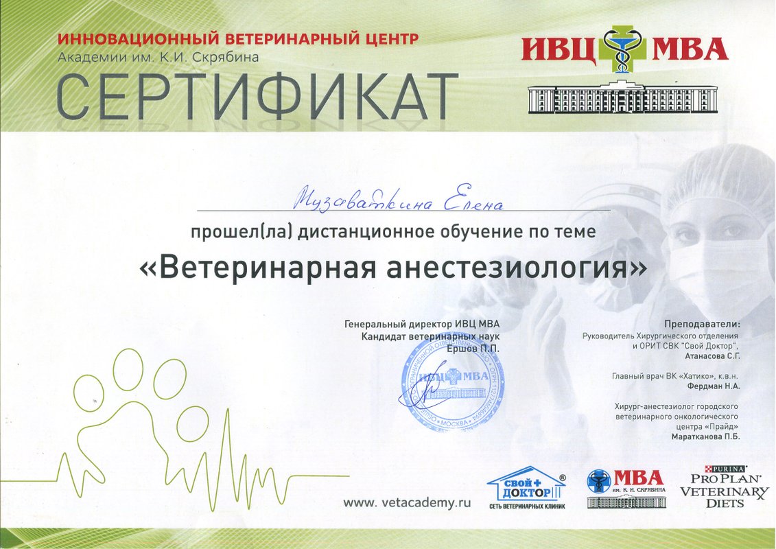 Документ или сертификат