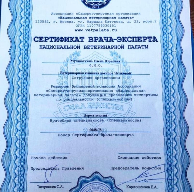 Документ или сертификат
