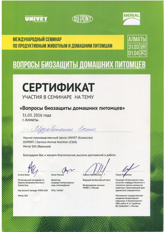 Документ или сертификат