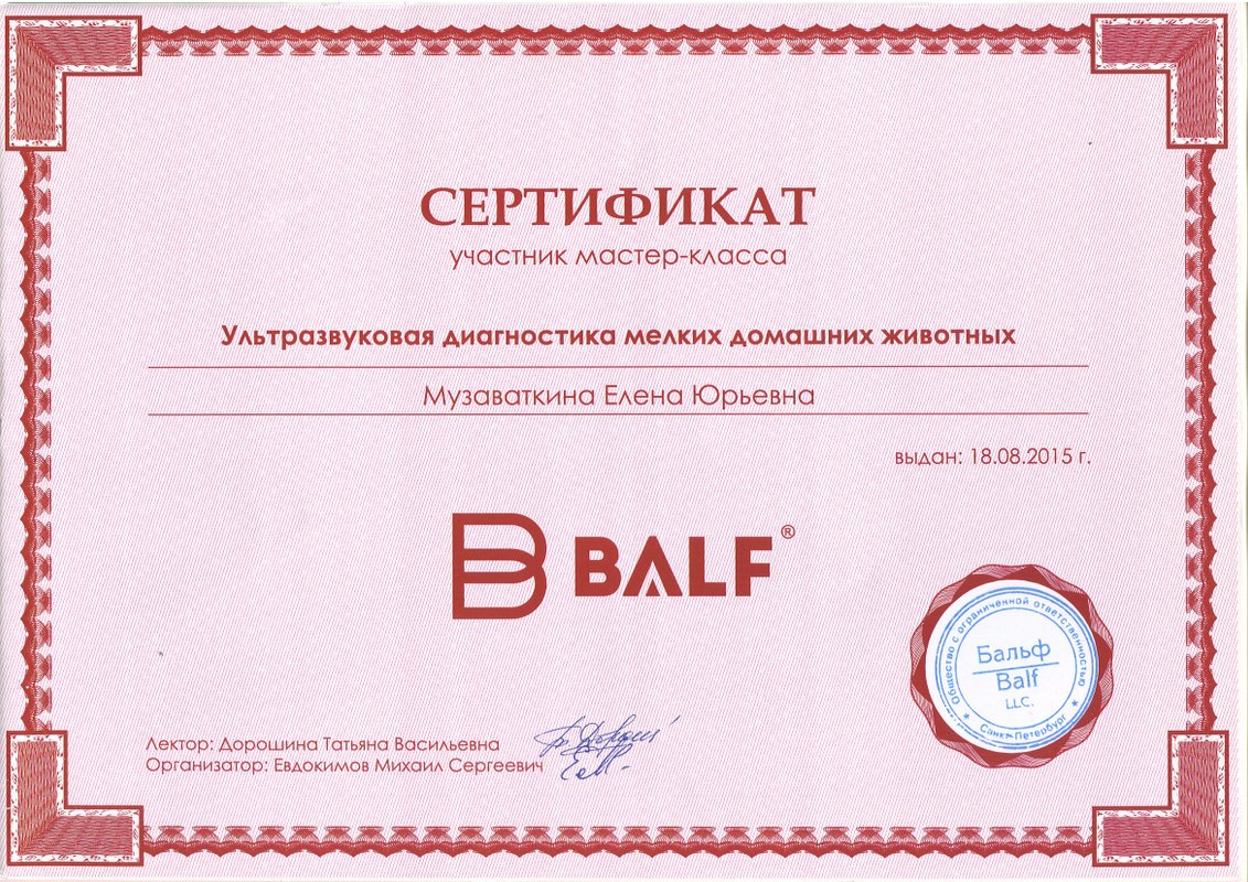Документ или сертификат