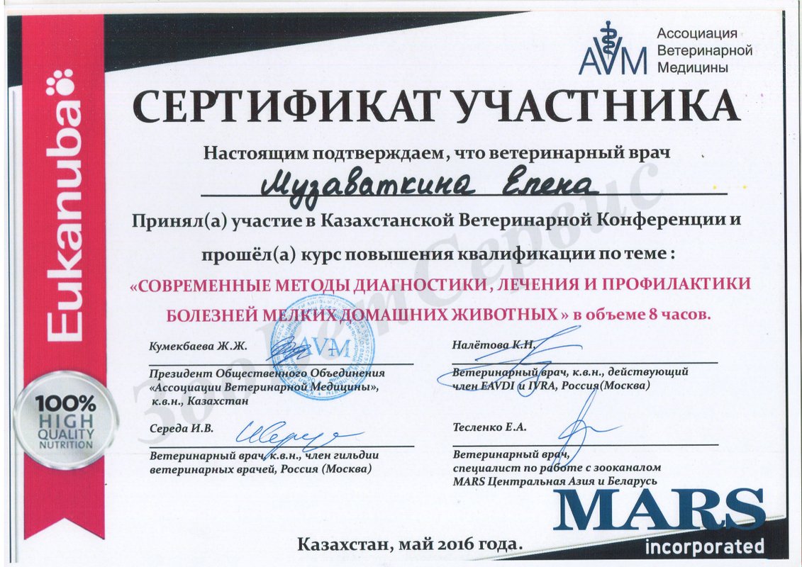 Документ или сертификат