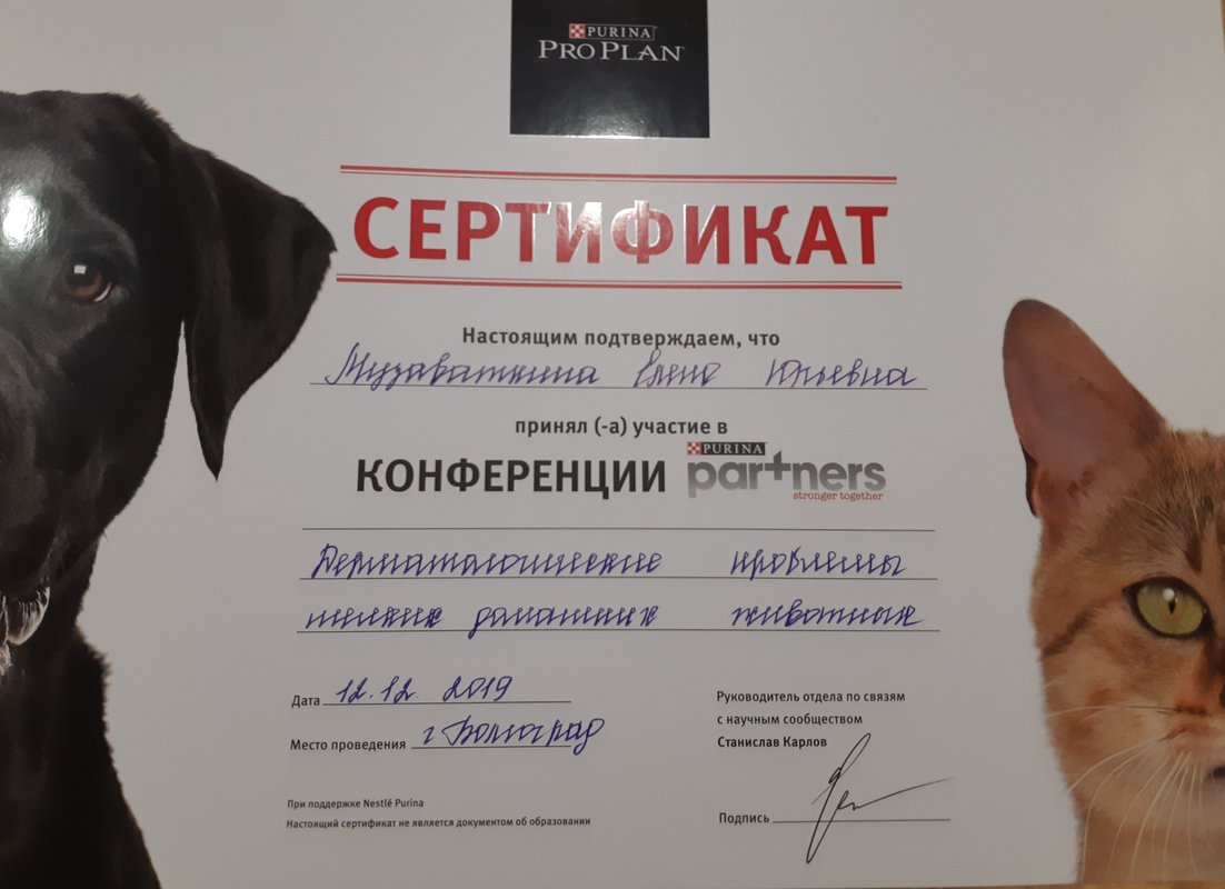 Документ или сертификат