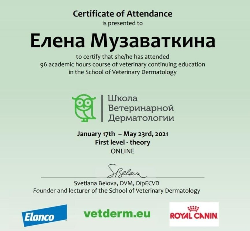 Документ или сертификат