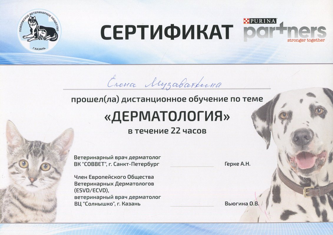 Документ или сертификат