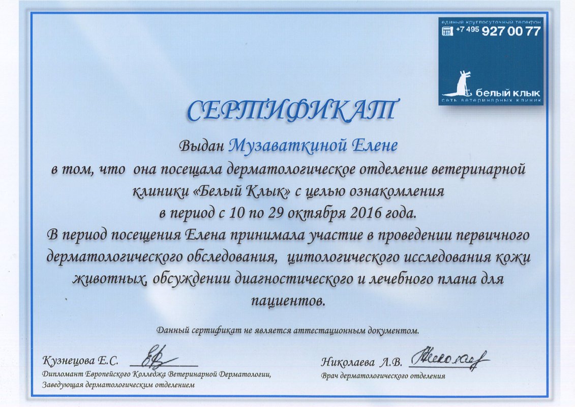 Документ или сертификат