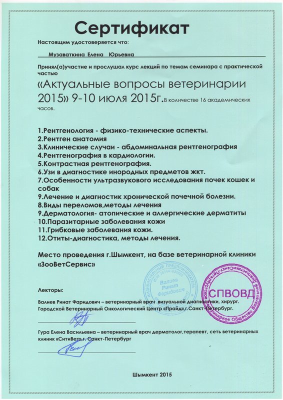 Документ или сертификат