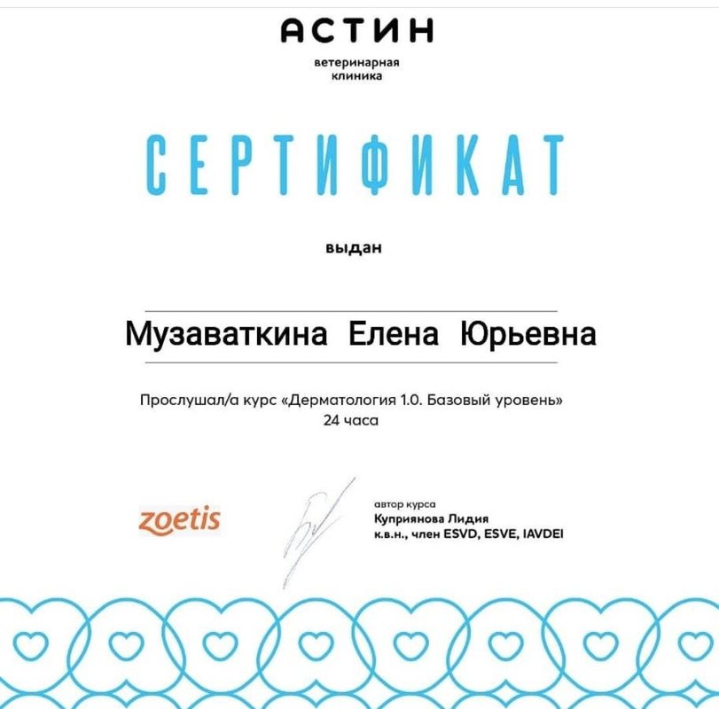 Документ или сертификат