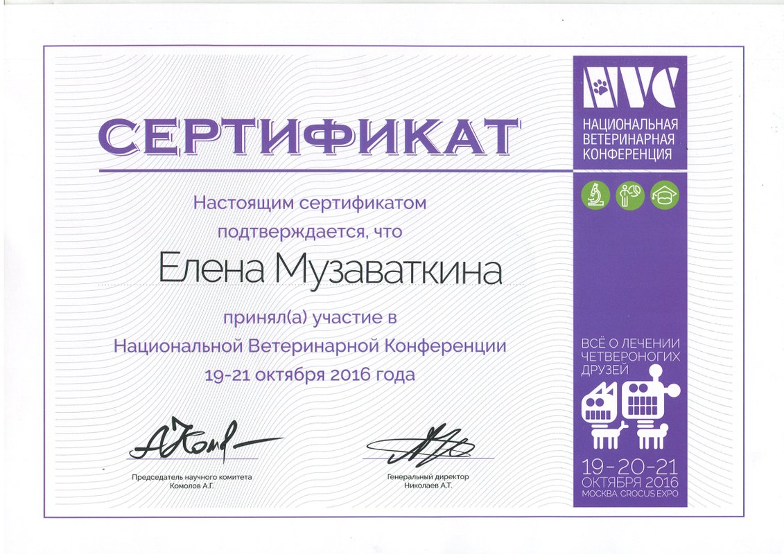 Документ или сертификат