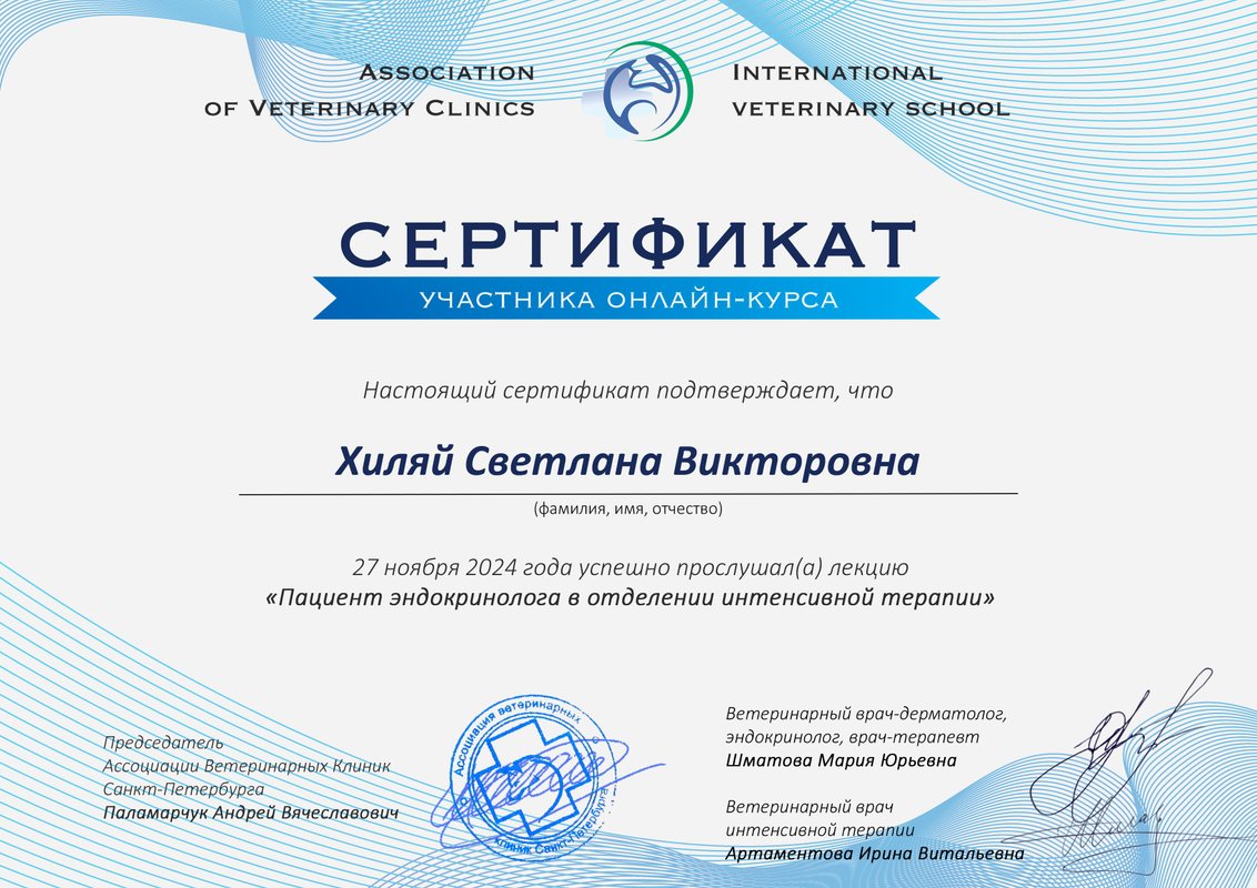 Документ или сертификат