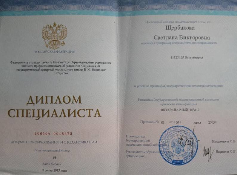 Документ или сертификат