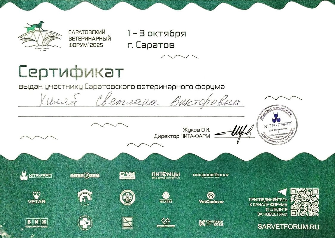 Документ или сертификат