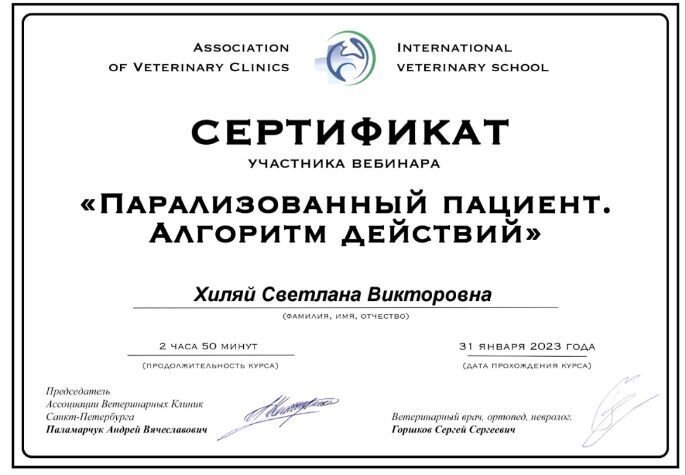 Документ или сертификат