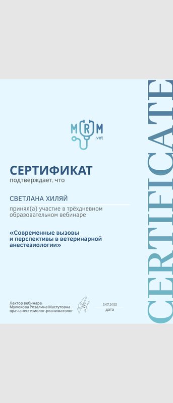 Документ или сертификат