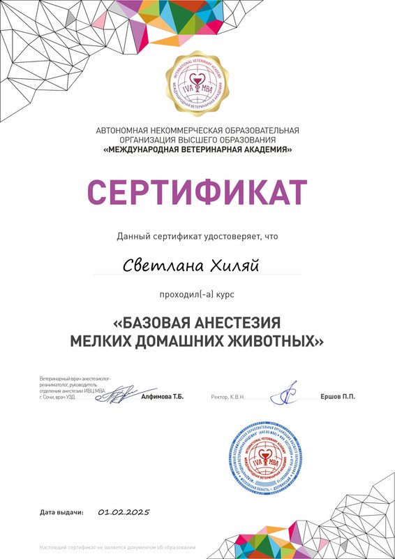 Документ или сертификат