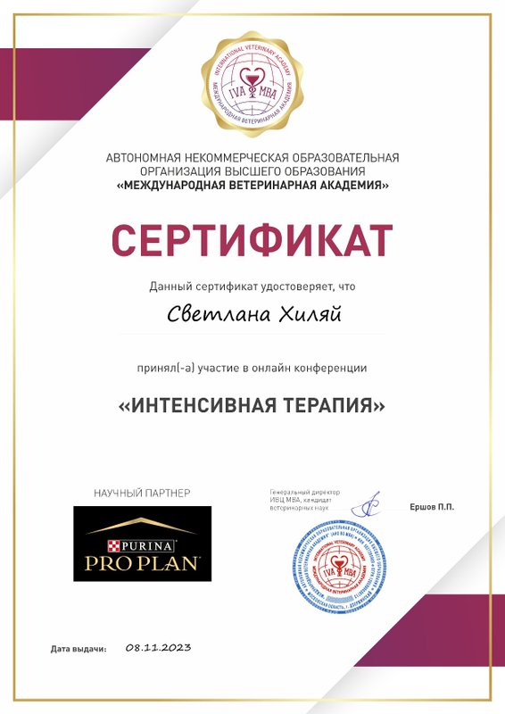 Документ или сертификат