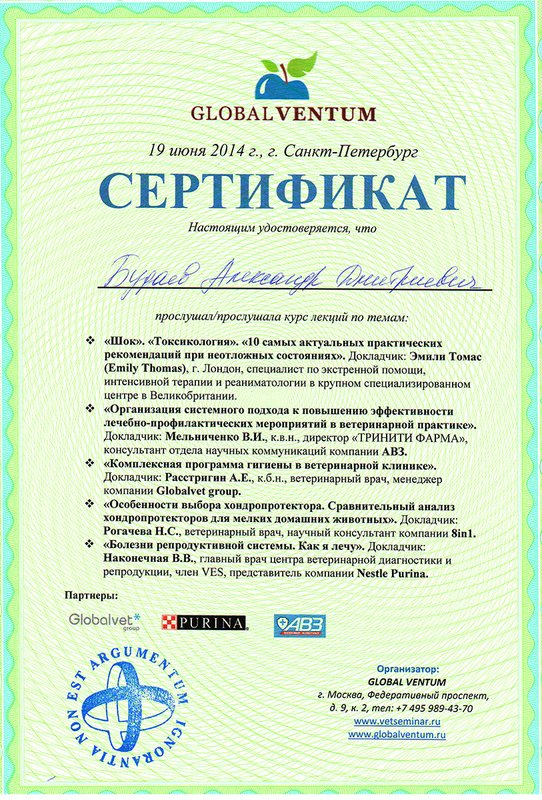 Документ или сертификат