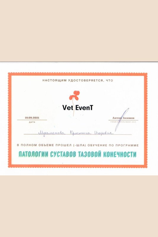 Документ или сертификат