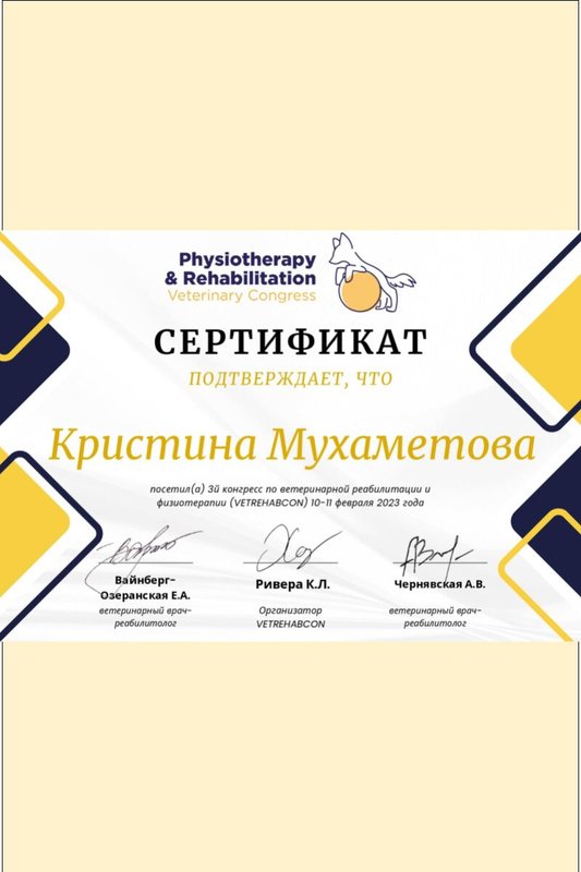 Документ или сертификат
