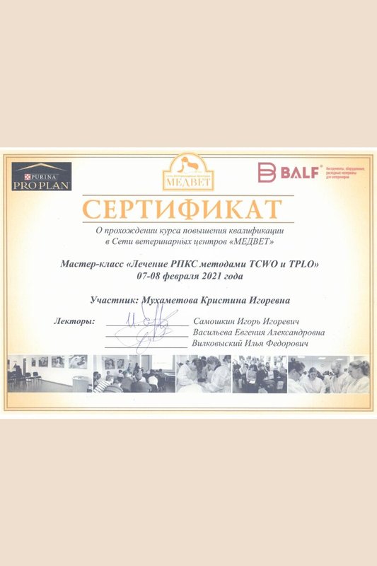 Документ или сертификат