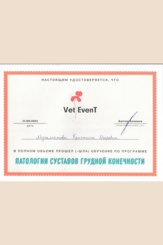 Документ или сертификат