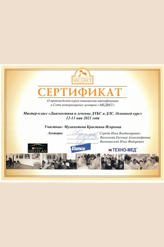 Документ или сертификат