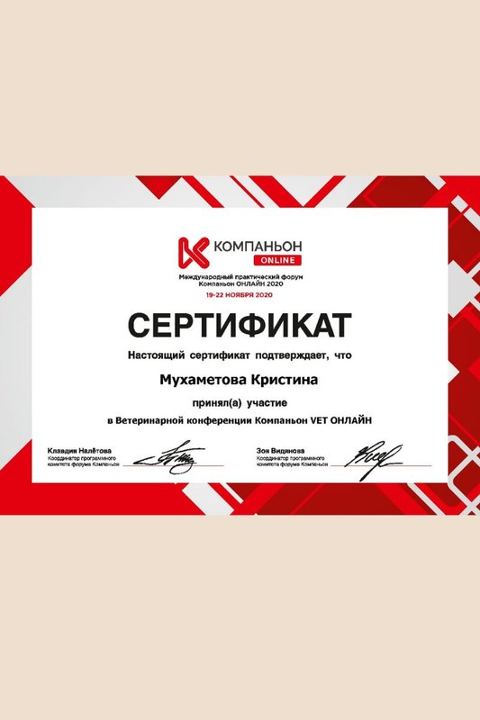 Документ или сертификат