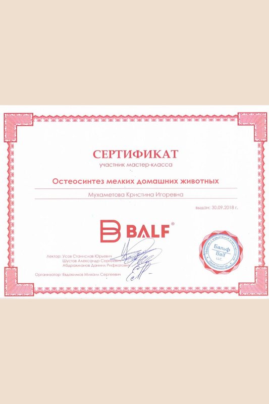 Документ или сертификат