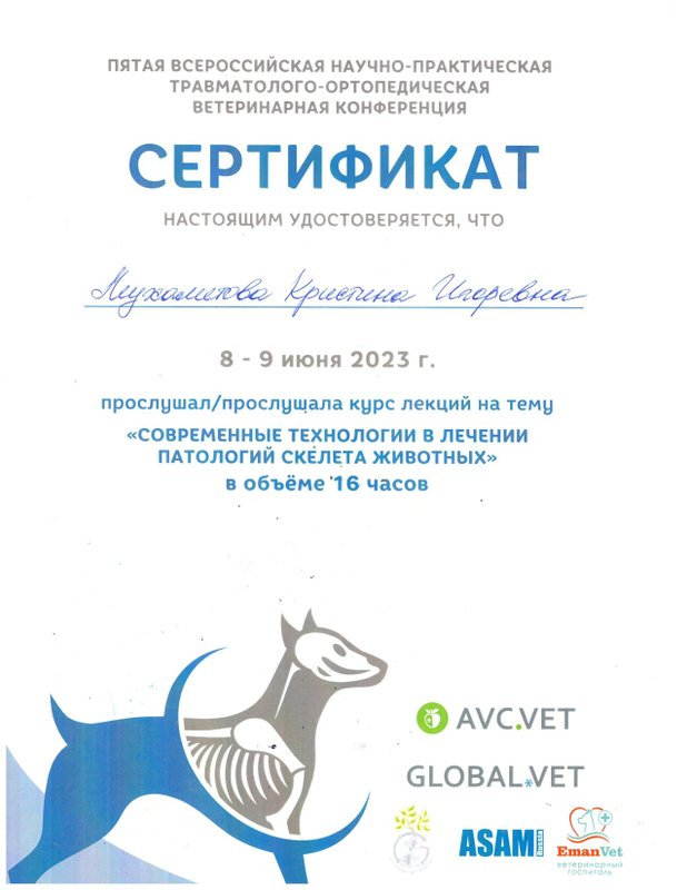 Документ или сертификат