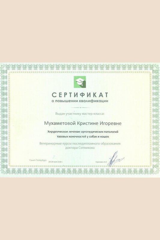 Документ или сертификат