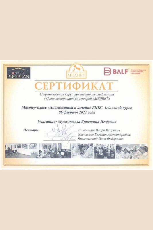 Документ или сертификат