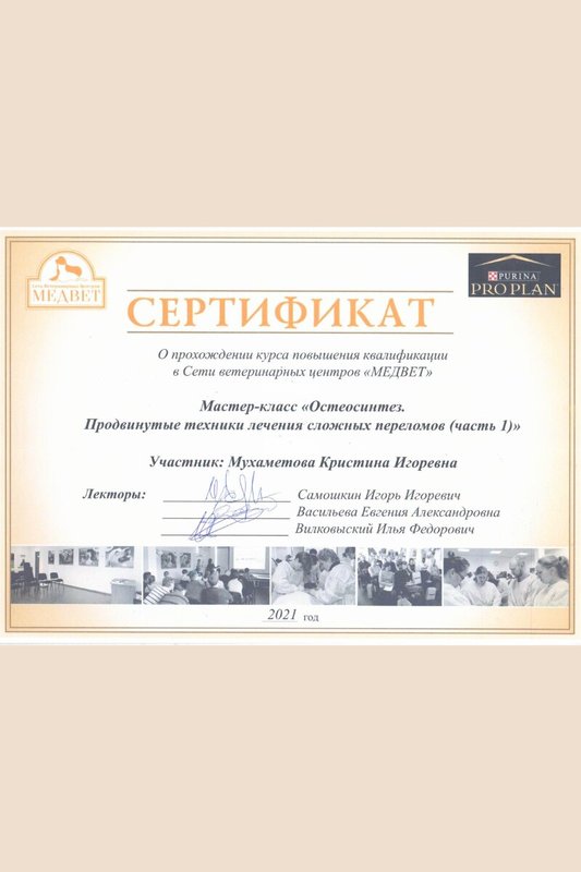 Документ или сертификат
