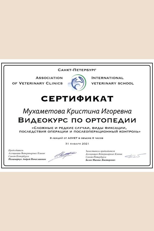 Документ или сертификат
