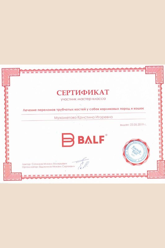 Документ или сертификат
