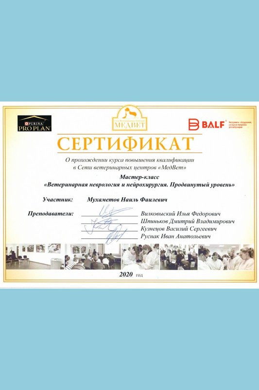 Документ или сертификат