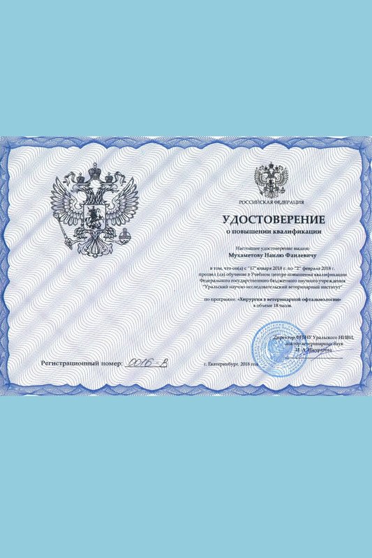 Документ или сертификат