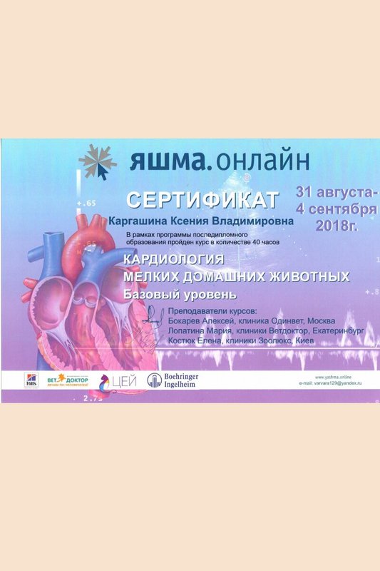Документ или сертификат