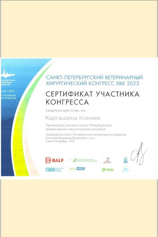Документ или сертификат