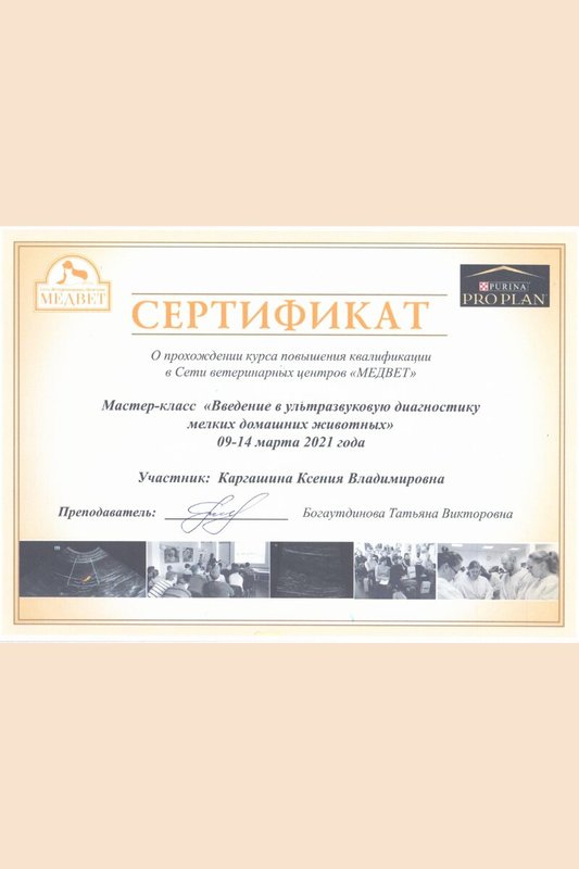 Документ или сертификат