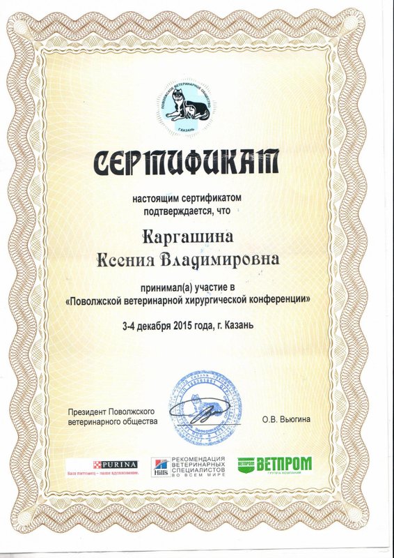 Документ или сертификат