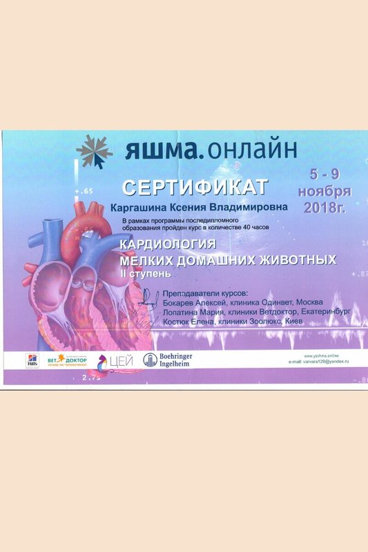 Документ или сертификат